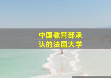 中国教育部承认的法国大学