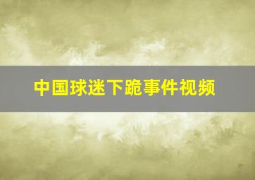 中国球迷下跪事件视频