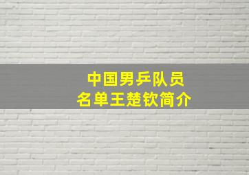 中国男乒队员名单王楚钦简介