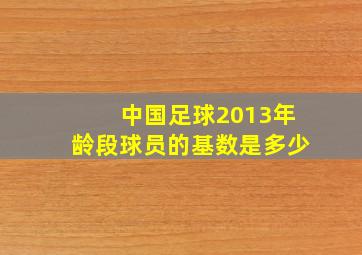 中国足球2013年龄段球员的基数是多少