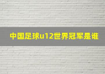 中国足球u12世界冠军是谁