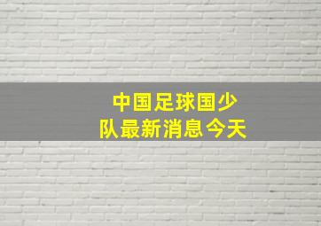 中国足球国少队最新消息今天