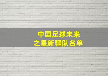 中国足球未来之星新疆队名单