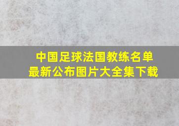 中国足球法国教练名单最新公布图片大全集下载