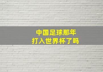 中国足球那年打入世界杯了吗