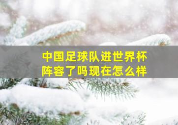 中国足球队进世界杯阵容了吗现在怎么样