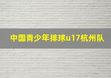 中国青少年排球u17杭州队