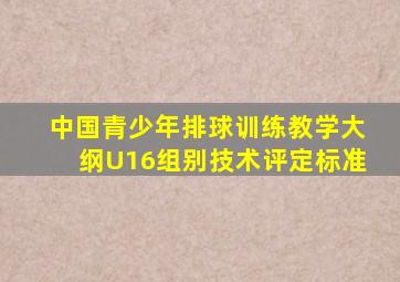 中国青少年排球训练教学大纲U16组别技术评定标准