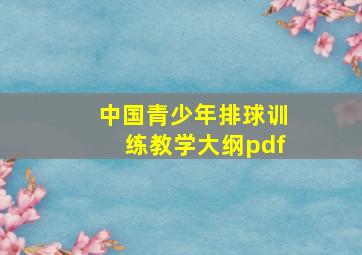 中国青少年排球训练教学大纲pdf