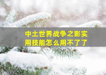 中土世界战争之影实用技能怎么用不了了