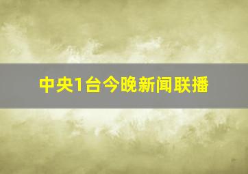 中央1台今晚新闻联播