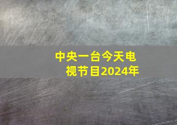 中央一台今天电视节目2024年