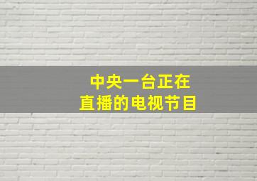 中央一台正在直播的电视节目