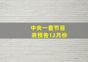 中央一套节目表预告12月份