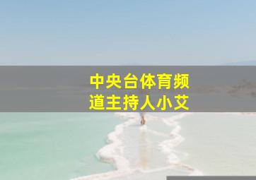 中央台体育频道主持人小艾