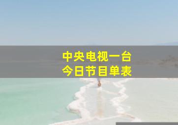 中央电视一台今日节目单表