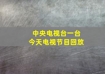 中央电视台一台今天电视节目回放