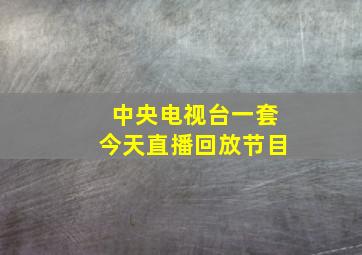 中央电视台一套今天直播回放节目