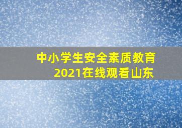 中小学生安全素质教育2021在线观看山东