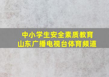 中小学生安全素质教育山东广播电视台体育频道