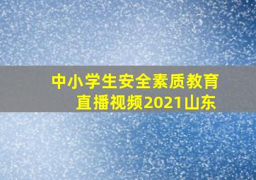 中小学生安全素质教育直播视频2021山东