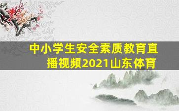 中小学生安全素质教育直播视频2021山东体育