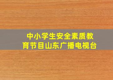 中小学生安全素质教育节目山东广播电视台