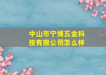 中山市宁博五金科技有限公司怎么样