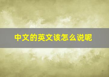 中文的英文该怎么说呢