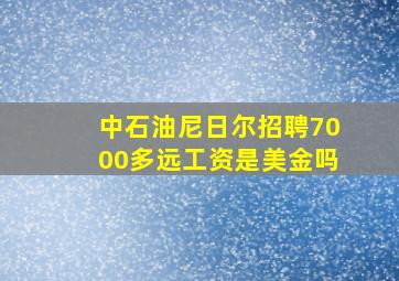 中石油尼日尔招聘7000多远工资是美金吗