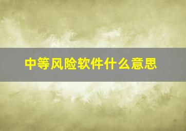 中等风险软件什么意思