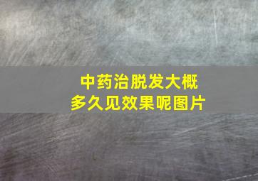 中药治脱发大概多久见效果呢图片