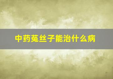 中药菟丝子能治什么病