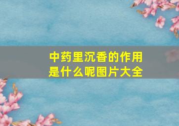 中药里沉香的作用是什么呢图片大全