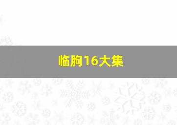 临朐16大集