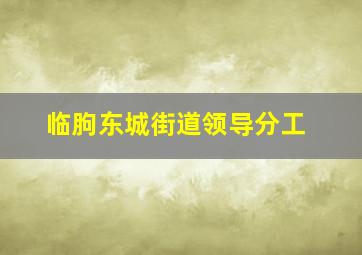 临朐东城街道领导分工