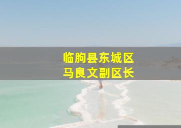 临朐县东城区马良文副区长