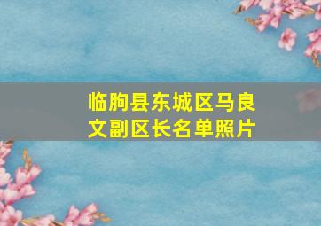 临朐县东城区马良文副区长名单照片