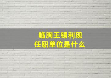 临朐王锡利现任职单位是什么