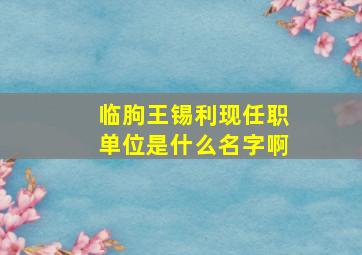 临朐王锡利现任职单位是什么名字啊