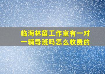 临海林笛工作室有一对一辅导班吗怎么收费的