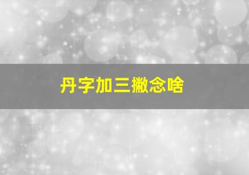 丹字加三撇念啥