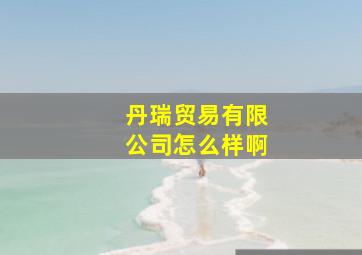 丹瑞贸易有限公司怎么样啊