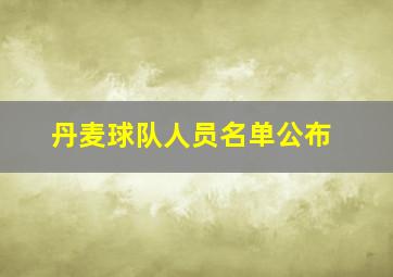 丹麦球队人员名单公布