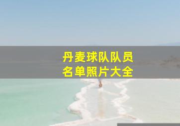 丹麦球队队员名单照片大全