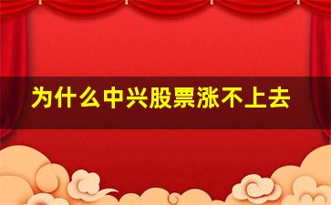 为什么中兴股票涨不上去