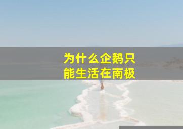 为什么企鹅只能生活在南极