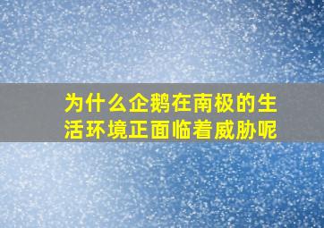 为什么企鹅在南极的生活环境正面临着威胁呢