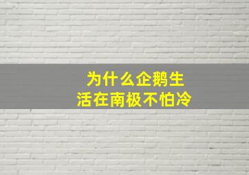 为什么企鹅生活在南极不怕冷