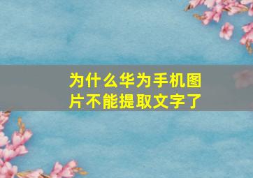 为什么华为手机图片不能提取文字了